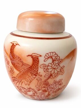 Orange and Cream Porcelain Decorative Jar with Lid